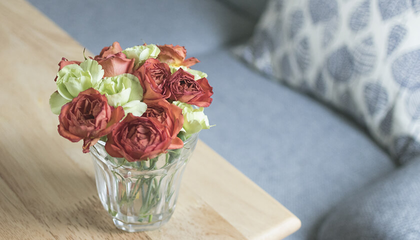 礭ַפȿǡ塢Żʤɤ˺ȯʤ